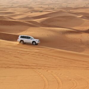 Dubai woestijn
