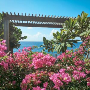 St. Barths St. Barths