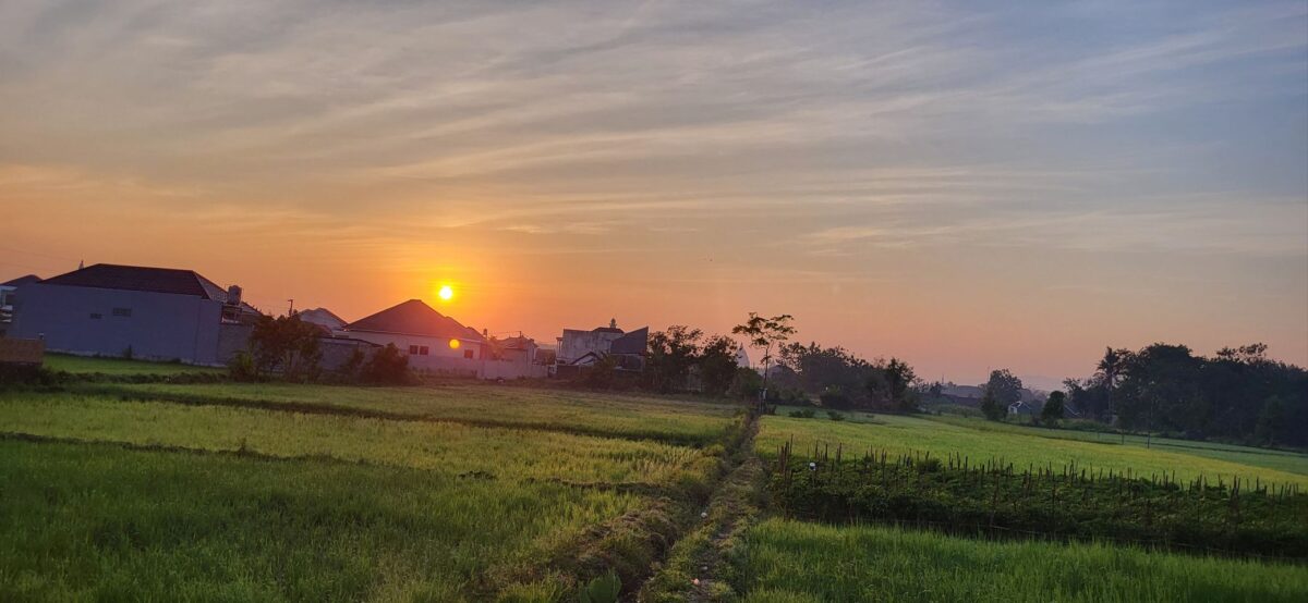 Martijn's reis naar Java & Bali - Uniglobe Westland Group Travel
